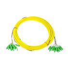 Multipatchcord Opto 24x SC/APC-SC/APC, 10m G657A2